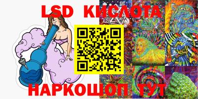 винт Дубна