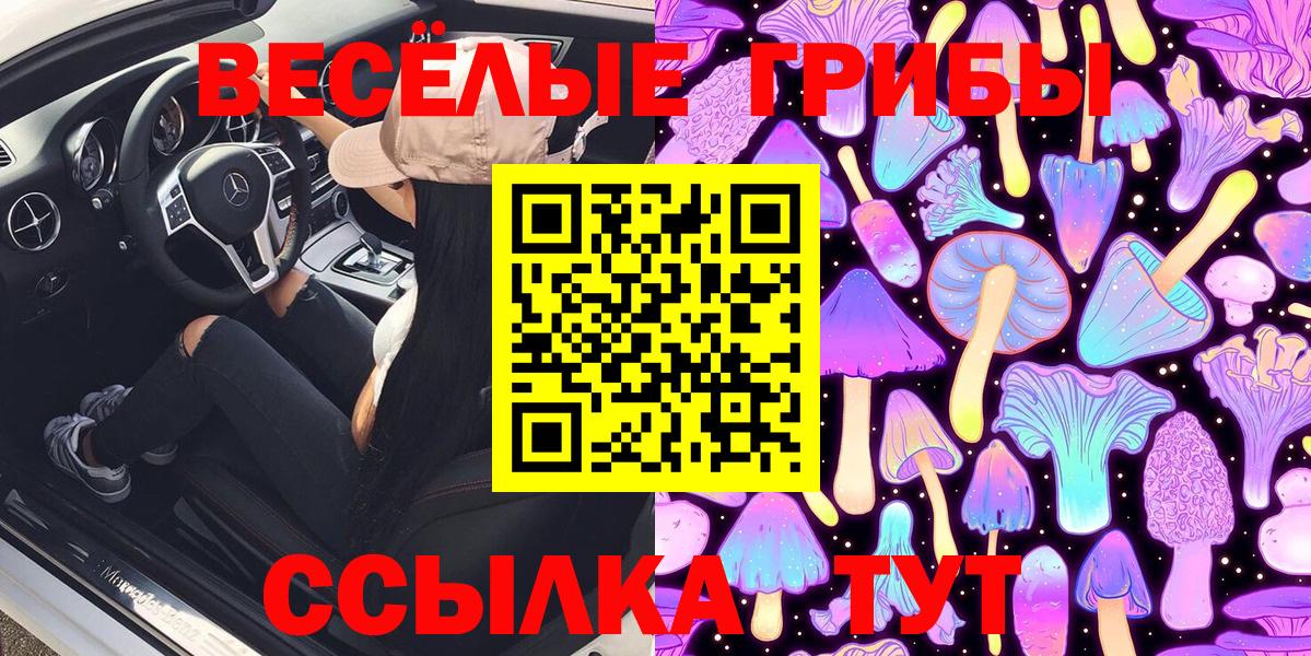 Губкин  Галлюциногенные грибы MAGIC MUSHROOMS  Вход с VPN 